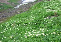 e0122199_1446825.jpg