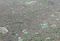 e0122199_14471160.jpg