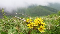 e0122199_15113824.jpg