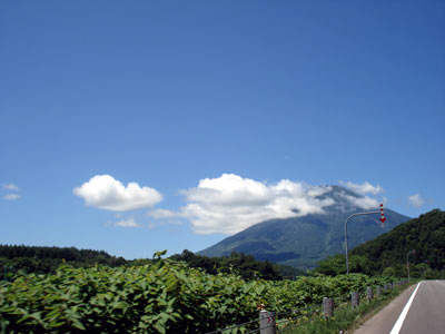 a0050802_23163596.jpg