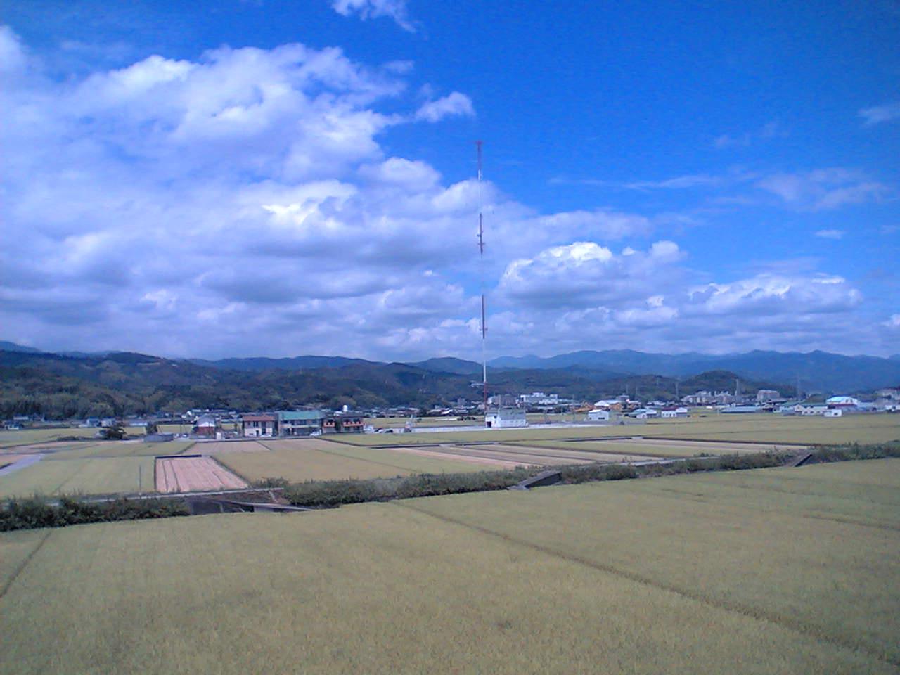 d0102007_16483135.jpg