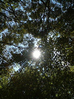 f0127408_22343074.jpg