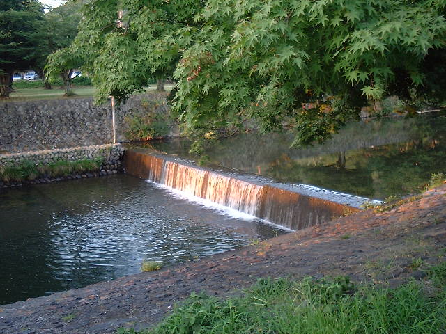 f0173908_15283680.jpg