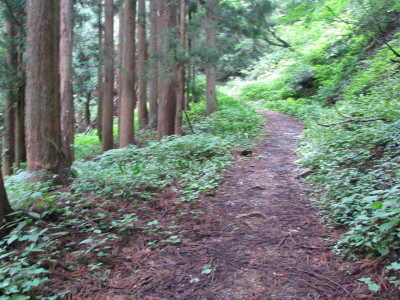 a0087816_1212156.jpg