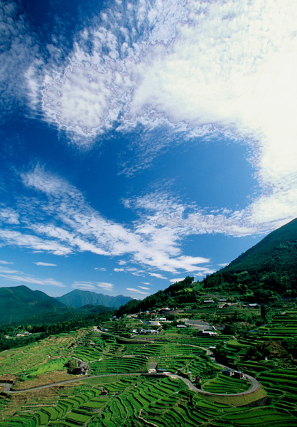 d0147530_672761.jpg