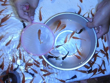 f0039934_16425664.jpg