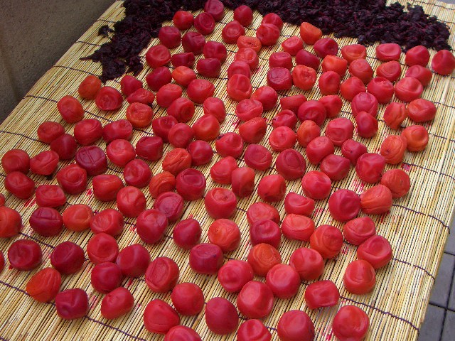 c0146637_1463059.jpg
