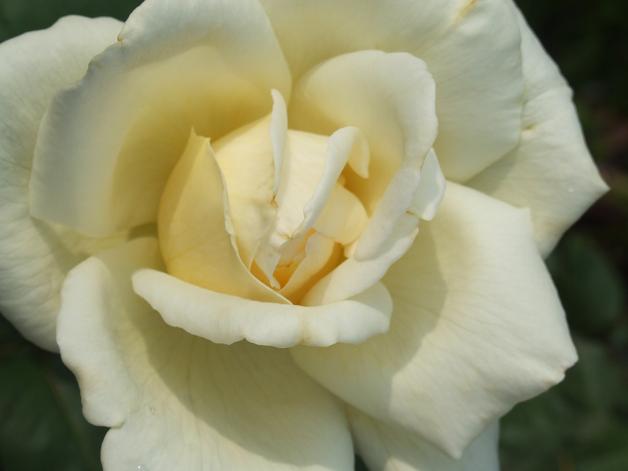 b0089338_881550.jpg