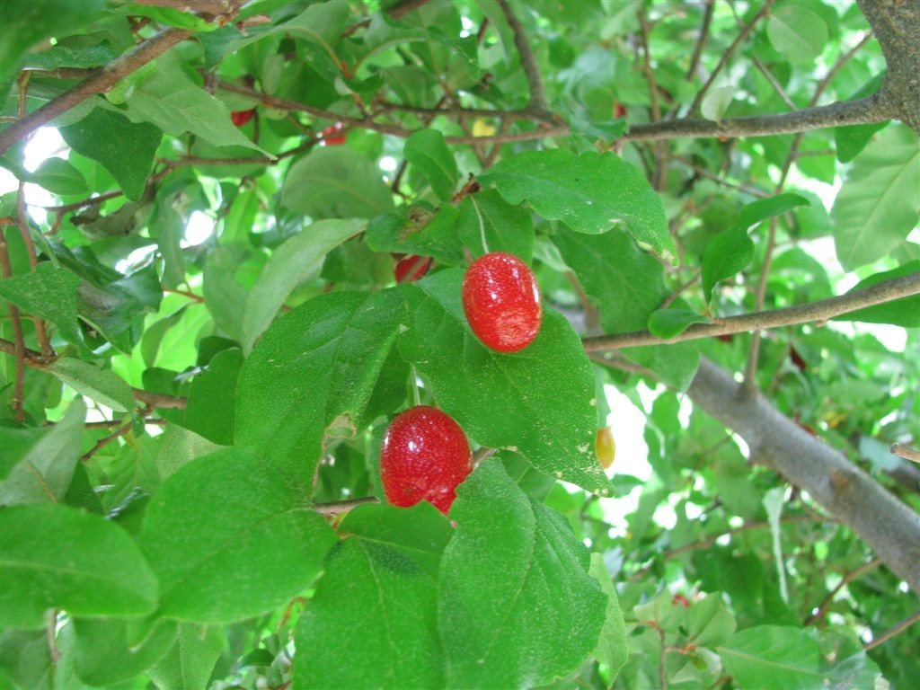 f0151044_19402198.jpg
