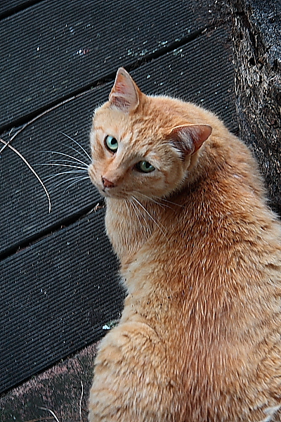 f0156448_047182.jpg