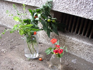 a0068350_071132.jpg