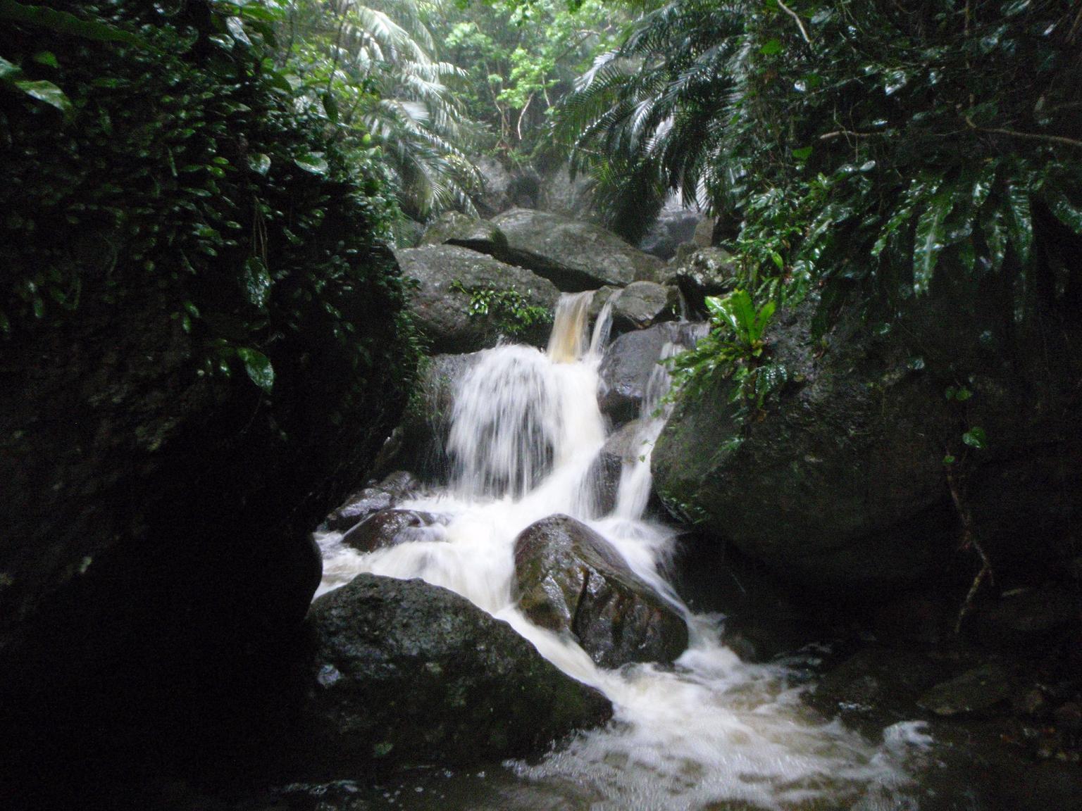 e0134752_21412395.jpg