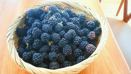 f0076952_18351890.jpg