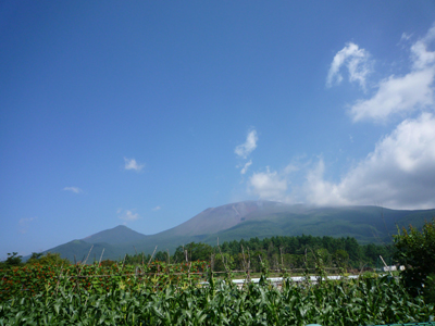 b0045357_15738100.jpg