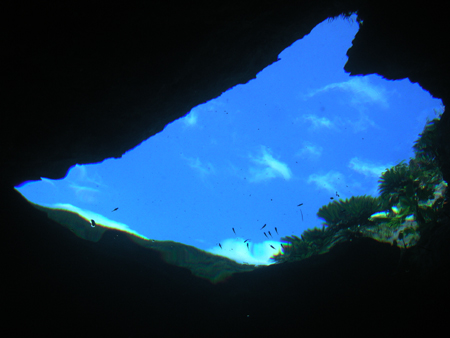 b0062363_20431317.jpg