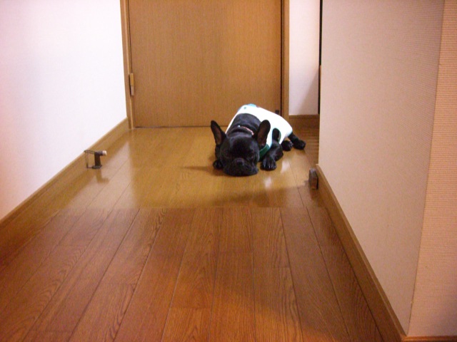 c0081363_22415076.jpg