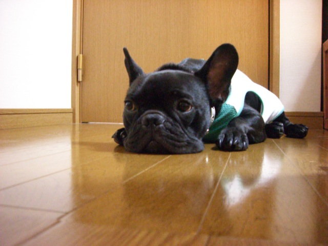 c0081363_2243756.jpg