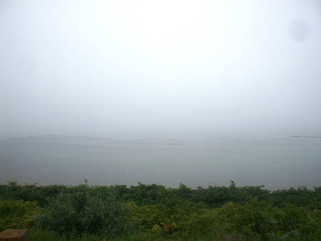 f0131165_18151136.jpg