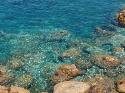 c0102268_653920.jpg
