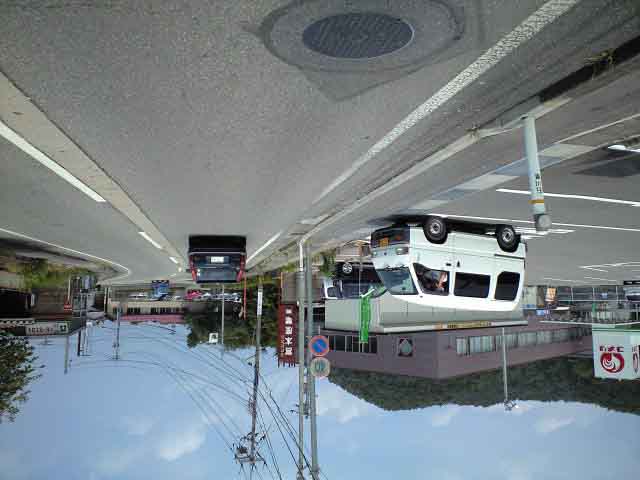 d0094868_1753281.jpg