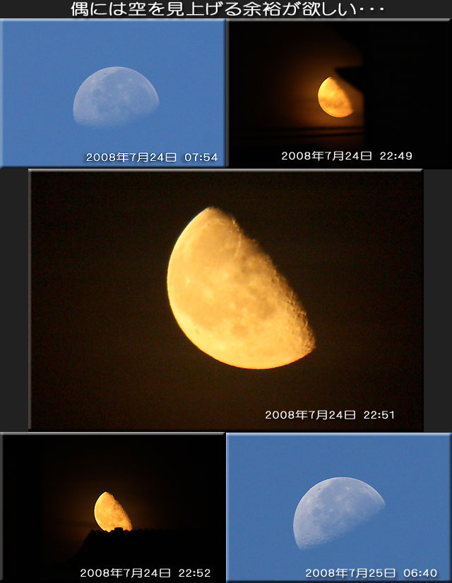 f0104569_6555214.jpg