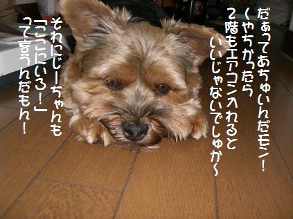 a0105570_1044402.jpg