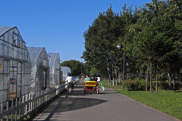 e0100772_2250973.jpg