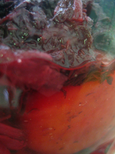 c0160778_9434122.jpg