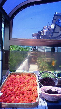 c0107180_1715279.jpg