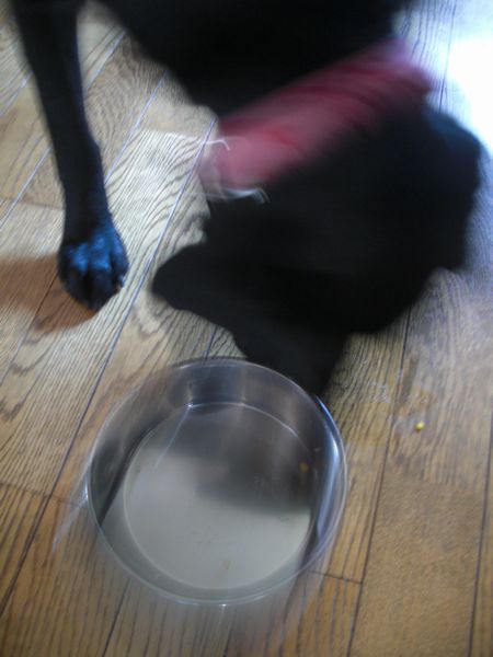 b0000885_14195937.jpg