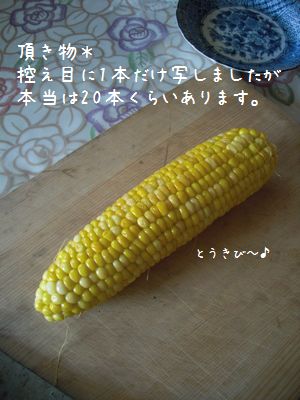 b0000885_149453.jpg