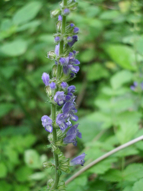e0025300_16354072.jpg