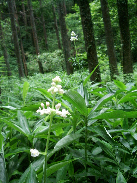 e0025300_16412329.jpg