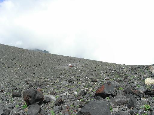 b0116703_19592269.jpg