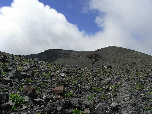 b0116703_195975.jpg