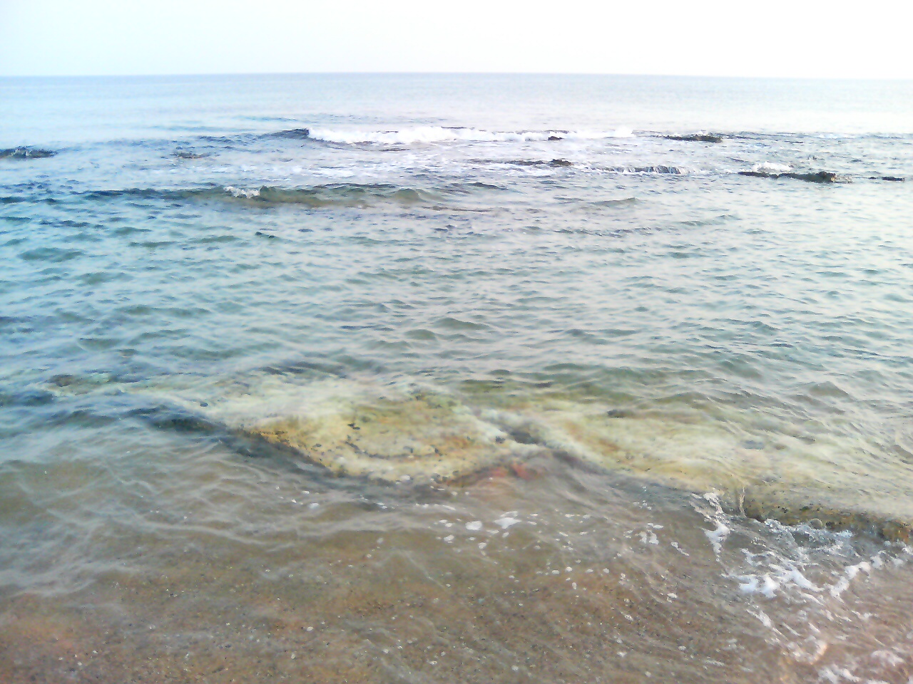 f0035404_149167.jpg