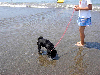 c0023406_13103550.jpg