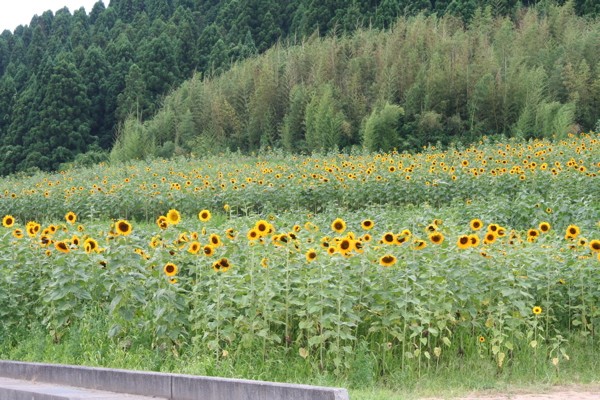 e0001907_22594455.jpg