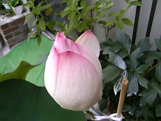 e0098908_22124150.jpg