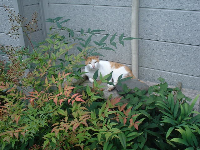 f0173908_6145219.jpg
