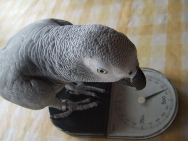 c0133013_030767.jpg
