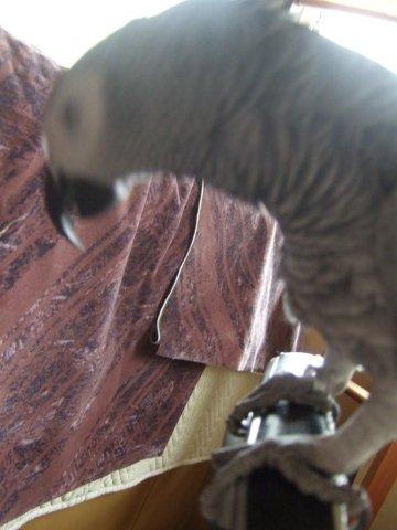 c0133013_0411010.jpg