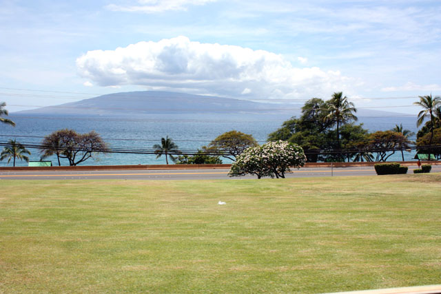 b0144315_1124834.jpg