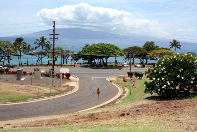 b0144315_1132974.jpg
