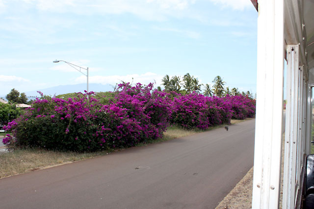 b0144315_1223670.jpg