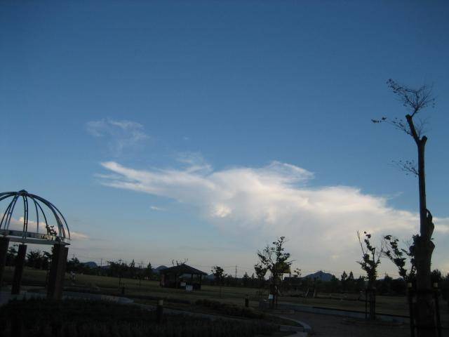 f0031722_2335677.jpg