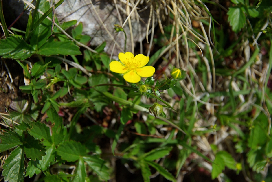 b0062024_6544257.jpg