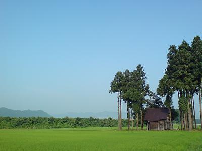 d0015124_2071782.jpg