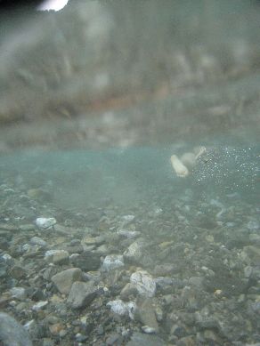 e0033926_22152810.jpg
