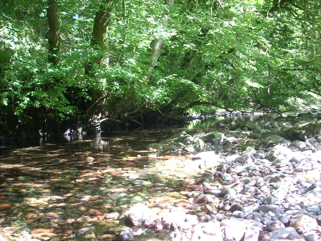 d0145528_442979.jpg